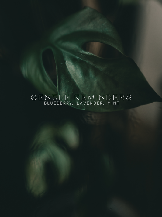 Gentle Reminders Mix