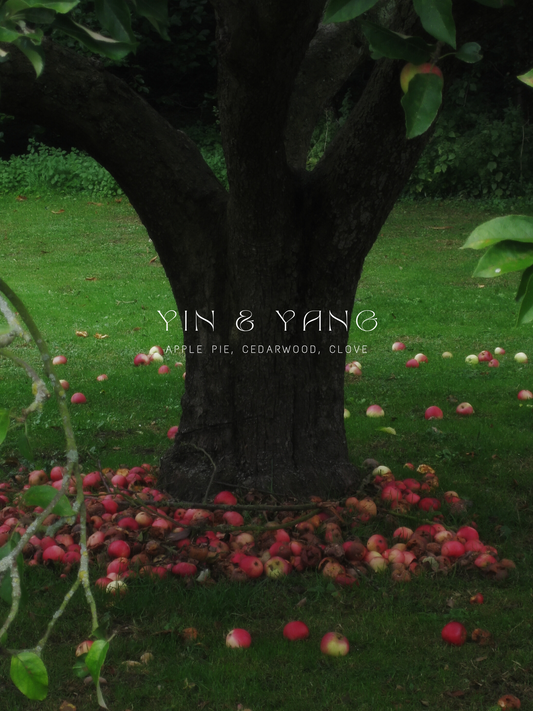 Yin & Yang Mix